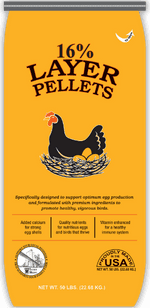 16% Layer Pellets