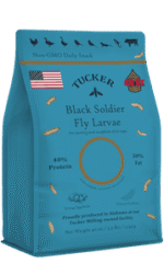 Black Soldier Fly Larvae