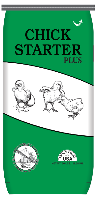 Chick Starter PLUS