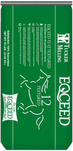 Eqceed 12-12 Textured