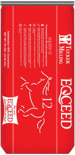 Eqceed 12