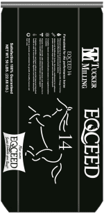 Eqceed 14