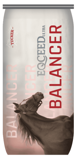 Eqceed Ultra Balancer