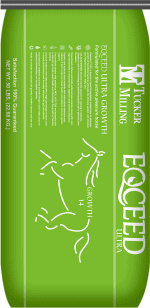 Eqceed Ultra Growth