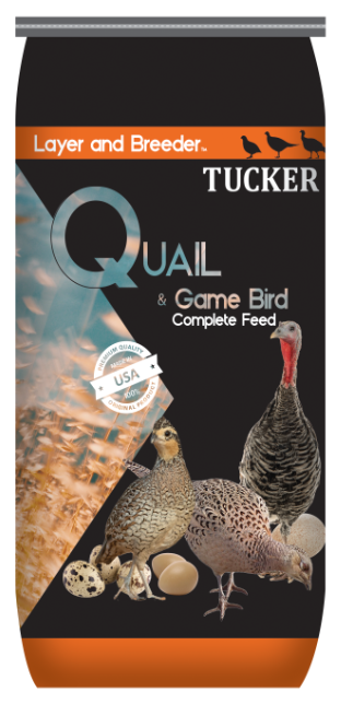 Quail and Game Bird Layer and Breeder