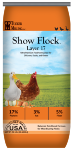 Show Flock Layer 17