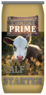 Tucker Prime Calf Starter